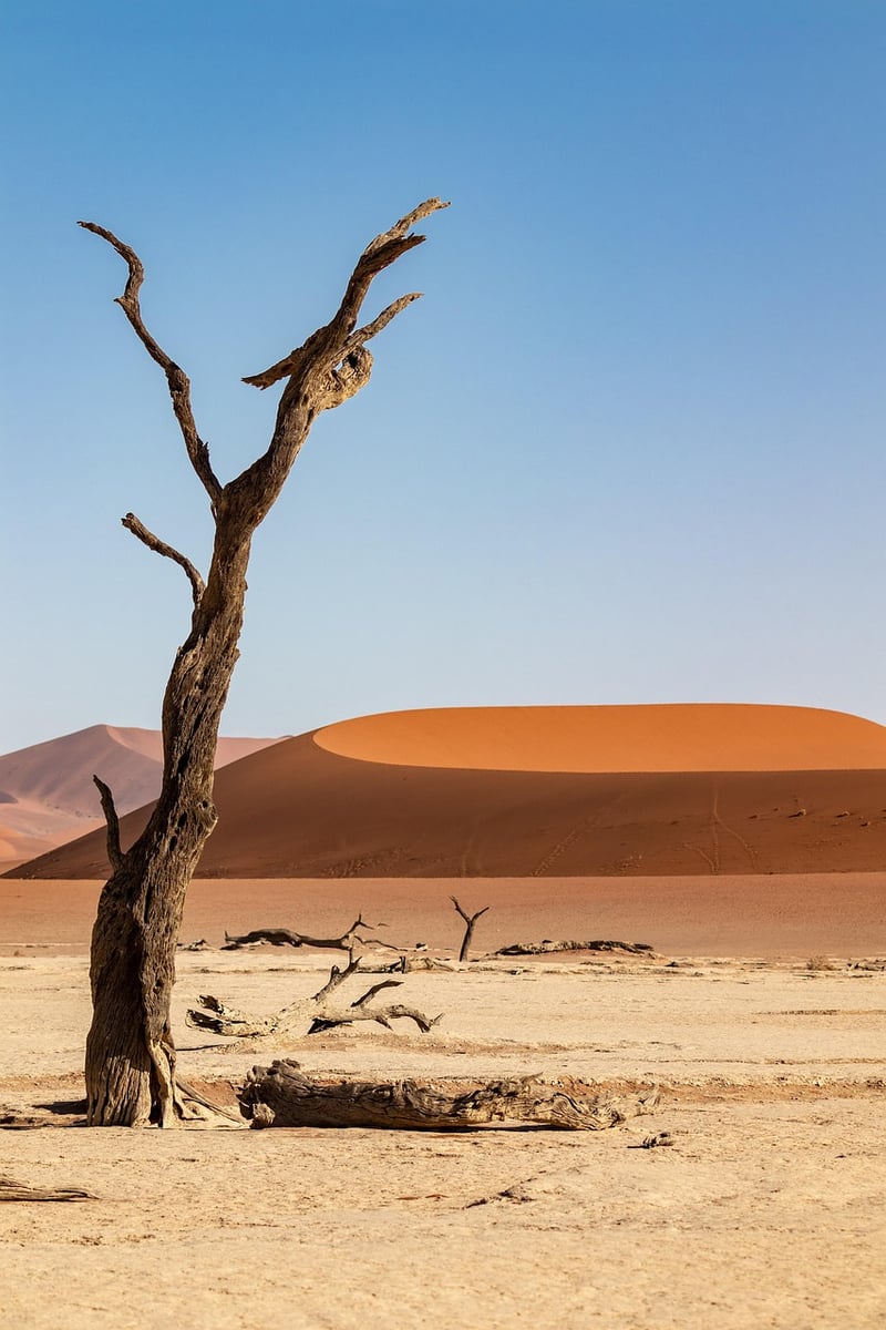Wadi Rum Desert